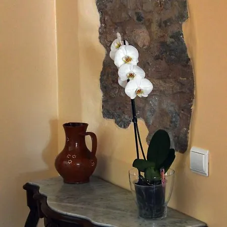 Casal Da Eira São Brás de Alportel