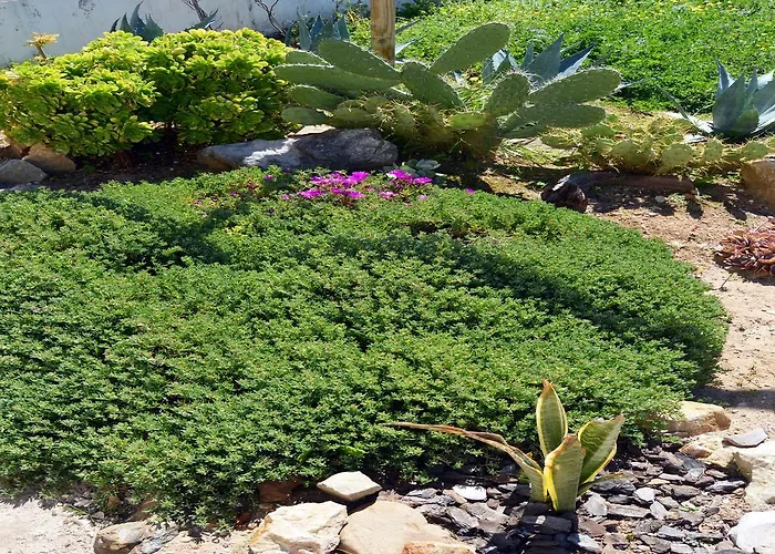 Oda ve Kahvaltı Casal Da Eira São Brás de Alportel