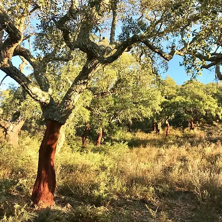 ベッド・アンド・ブレックファスト Casal Da Eira São Brás de Alportel