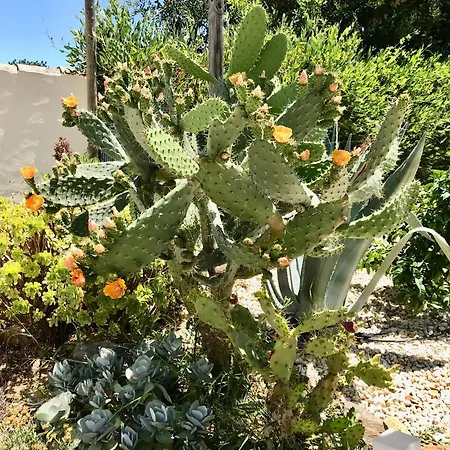 Couette-café Casal Da Eira