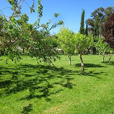 Casal Da Eira São Brás de Alportel