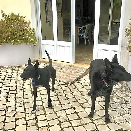 Casal Da Eira Bed & Breakfast São Brás de Alportel