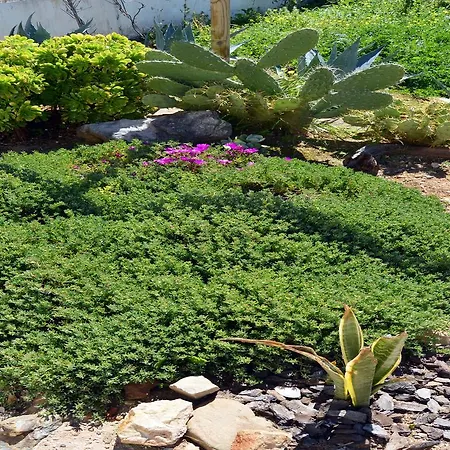 Bed & Breakfast Casal Da Eira São Brás de Alportel