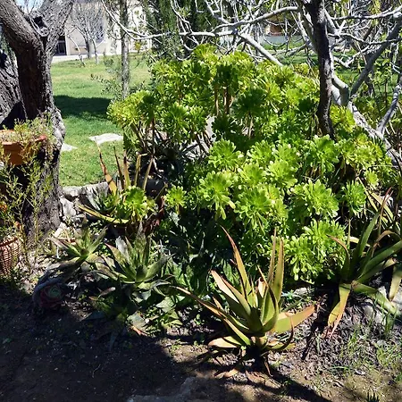 Bed & Breakfast Casal Da Eira 4*